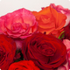 Bouquet Roses d'Amour - Livraison de fleurs | 123Fleurs