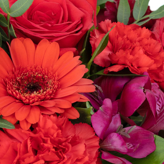 Bouquet Éclat
