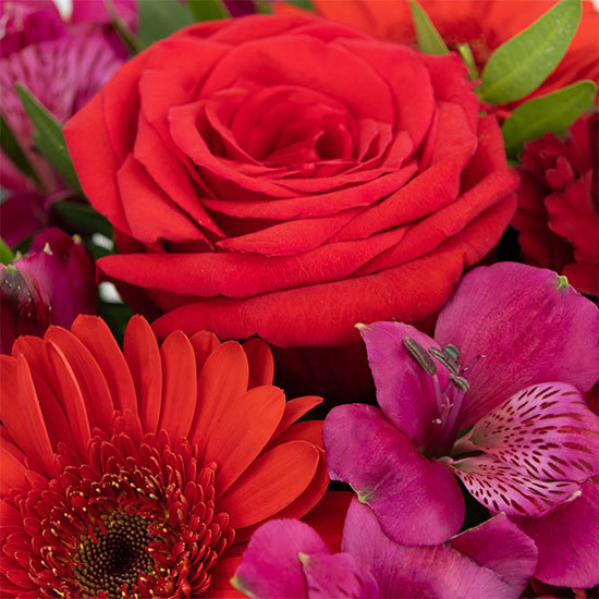 Bouquet Éclat