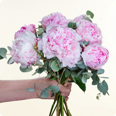 Votre bouquet est préparé avec attention, selon vos souhaits, en respectant le style, les couleurs et les fleurs principales que vous avez choisies.