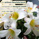 Bouquet spécial Lys - Composition florale avec lys blancs, roses et feuillage, réalisée par un artisan fleuriste 123fleurs
