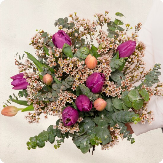 Bouquet avec de la tulipe violette