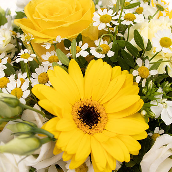 Bouquet Sunlight