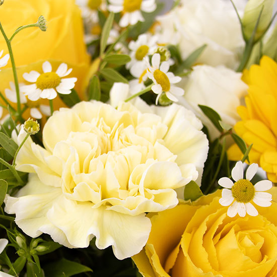 Bouquet Sunlight