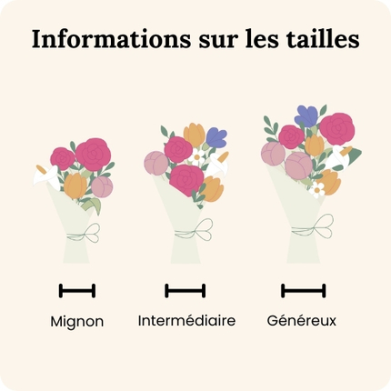 Ensemble De Procédures De Mise à Niveau Du Système Ou De L'application