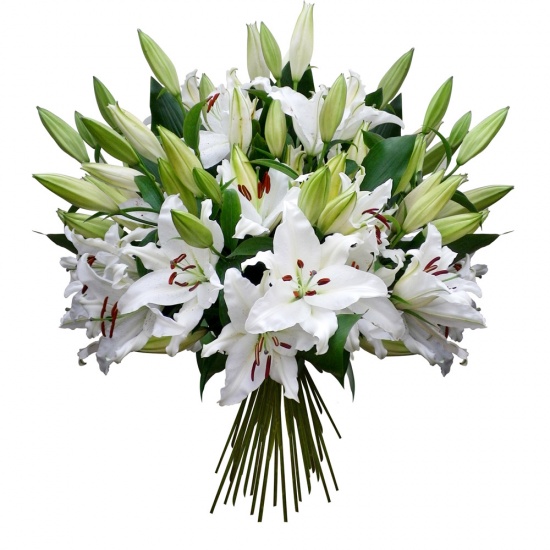 Sublimement classique, bouquet de lys blancs aérés de jolis feuillages... Un vrai plaisir de lys !  
