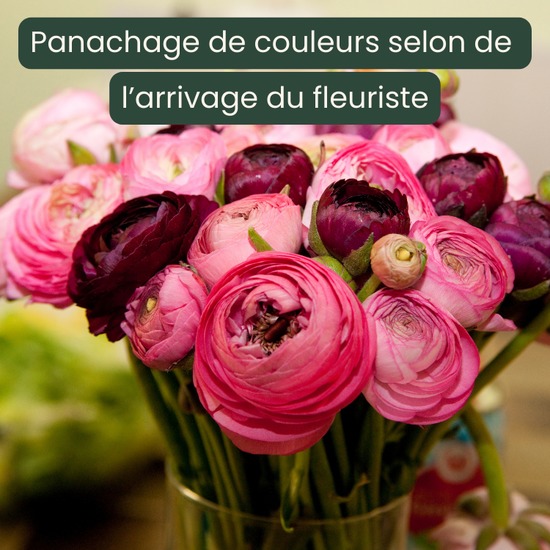 Offrez le Bouquet Tendres renoncules