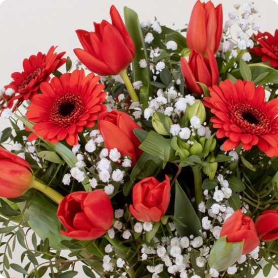 Bouquet Tulipes de Noël