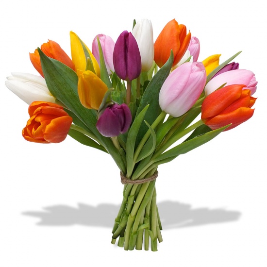 Offrez le bouquet de Tulipes multicolores