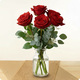 Roses rouges Valentine et son feuillage d'eucalyptus