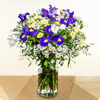 Livraison rapide partout en France 7j/7 avec 123fleurs.