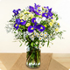 Bouquet Violette avec iris violets et fleurs de saison blanches et jaunes par 123fleurs