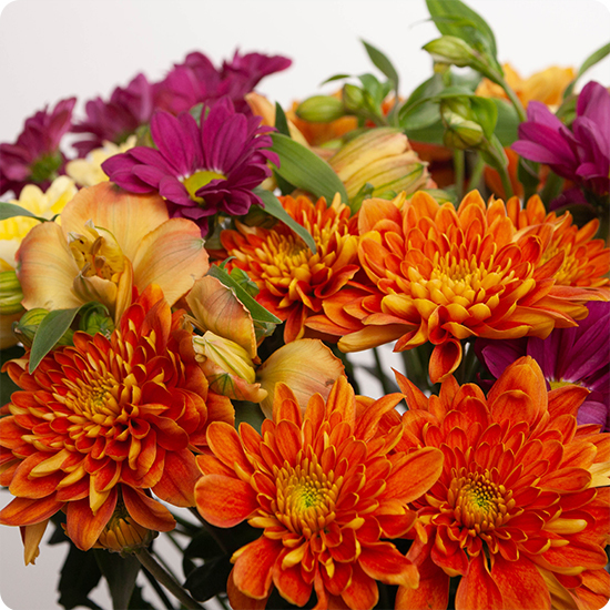 Bouquet Yuma avec du chrysanthème
