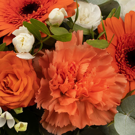 Bouquet Zeste