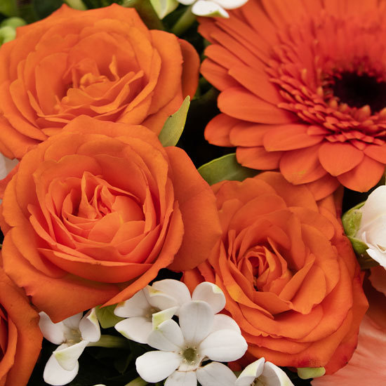 Bouquet Zeste