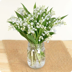 Offrez le Bouquet 100% muguet