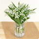 Bouquet 100% muguet