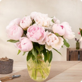 Brassée de Pivoines - Livraison rapide par un fleuriste local