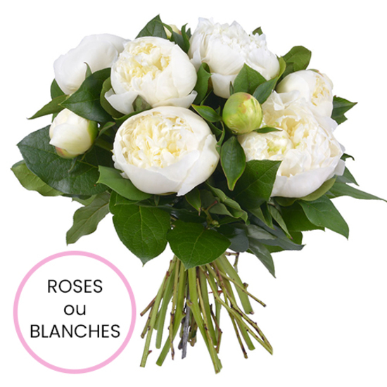 Brassée de pivoines