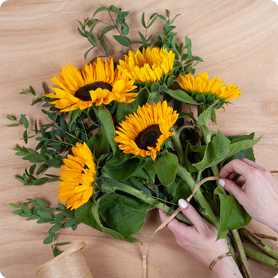 Brassée de tournesols