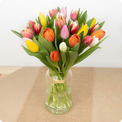 Brassée de tulipes multicolore