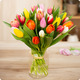 Brassée de tulipes multicolore