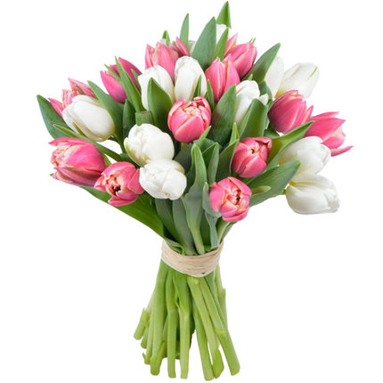 Brassée de Tulipes roses et blanches