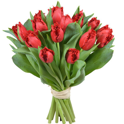 Brassée de tulipes rouges