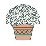 Cache pot