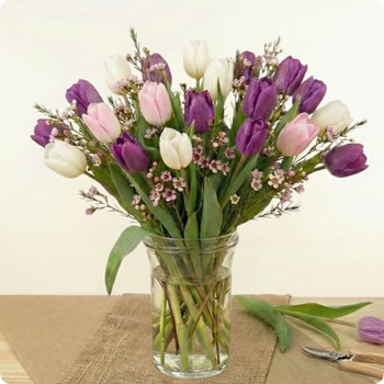 Bouquet de tulipes blanches, roses et violettes avec du wax