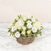 Colombe - Livraison rapide d’un arrangement sobre et élégant avec 123fleurs