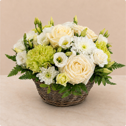 Colombe – Corbeille de deuil tons blancs et verts
