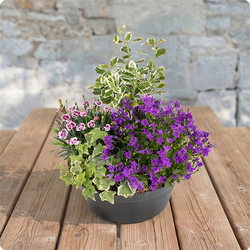 Composition Deuil Avec vous