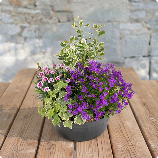 Composition Avec vous - Livraison de fleurs deuil