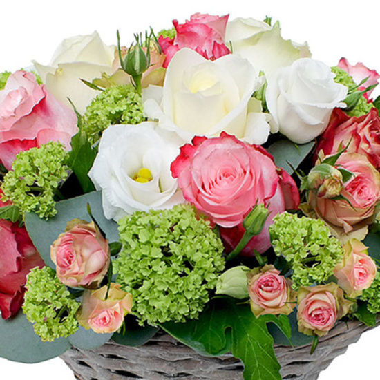 Faites livrer la Composition Berlingot