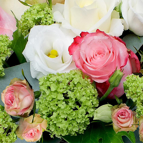 Faites livrer la Composition Berlingot