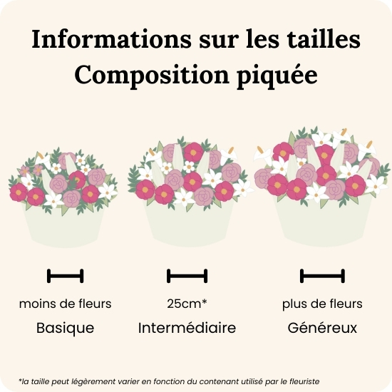 Composition deuil Colombe 
