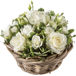 Fleurs Blanches Livraison De Bouquets Blancs 123fleurs
