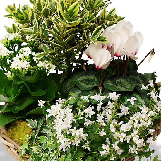 composition deuil mémoire du coeur