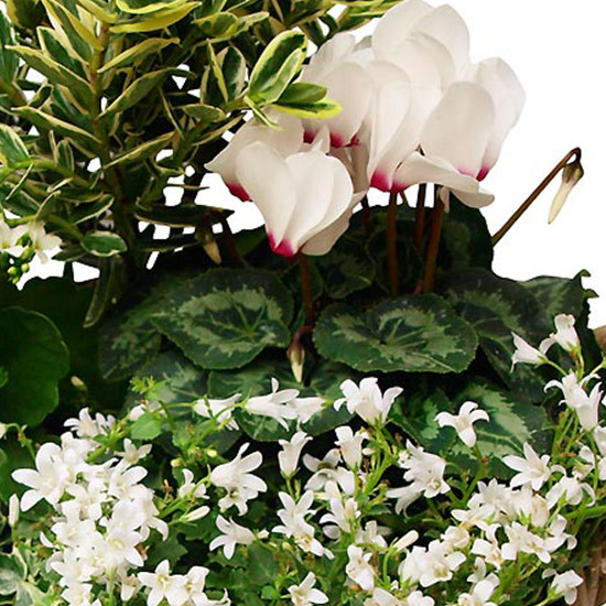 composition deuil mémoire du coeur