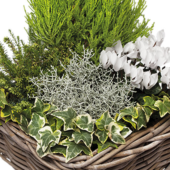 Arrangement deuil Plénitude