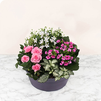 Composition Deuil Fleurs de cœur