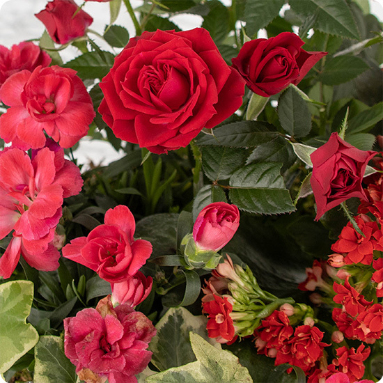 Composition Deuil Floraison