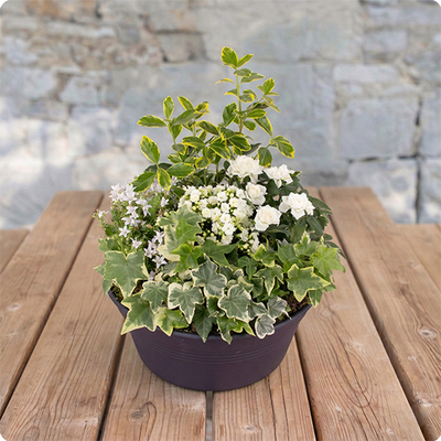 Composition Deuil Jardin en Paix 