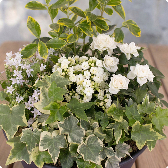 Composition Deuil Jardin en Paix 