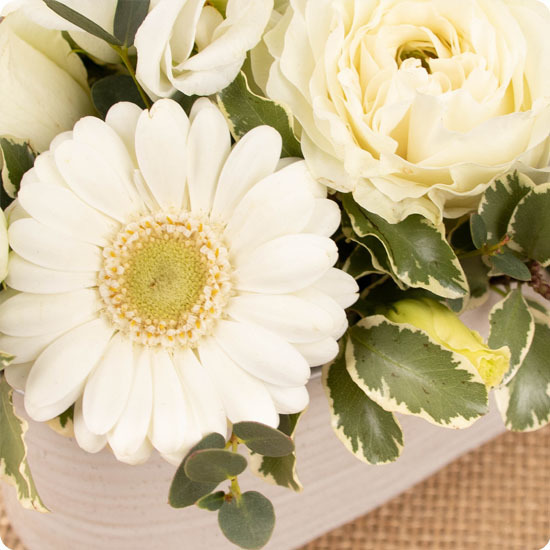Composition de fleurs Meringue