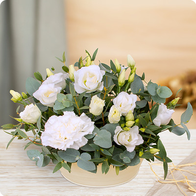 Composition de fleurs blanche Nacre