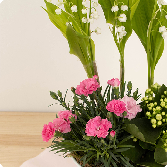 Composition Parfum de Printemps