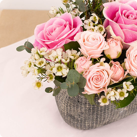 Composition Rosa