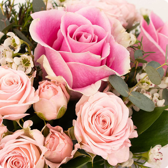 Composition Rosa